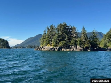 0 Legal Address Only unit Iffish Island 25307, Sitka, AK 99835 - photo 7
