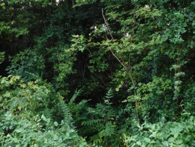 6 04ac Falling Water Rd, Cookeville, TN 38506 - photo 6