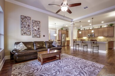 10527 Cima Vista, Helotes, TX 78023 - photo 6