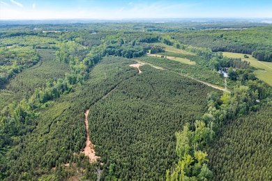 Tract B W Gretna Rd, Penhook, VA 24137 - photo 5