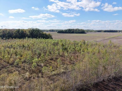 0 Walnut Lake Rd, Dundee, MS 38626 - photo 7