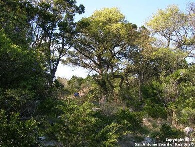 12243 Clovis, Helotes, TX 78023 - photo 3