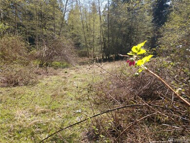 0 Forest Ln, Langley, WA 98260 - photo 3