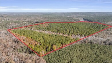 0000 Liberty Bottom Rd, Vernon, AL 35592 - photo 2