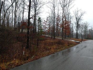 Mountain Laurel Ln 8 .png