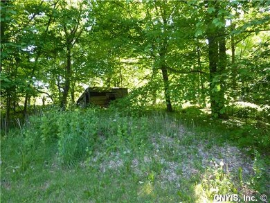 Yard/Garden