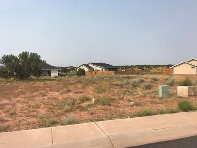 .36 Acre lot