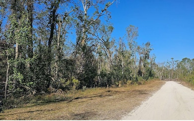 00 237th Drive Lot 5, Live Oak, FL 32060 - photo 5