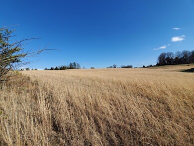 Tract 5- Chucks Aly, Jonesborough, TN 37659 - photo 6