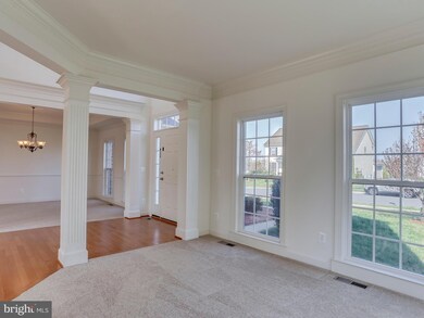 43 Palisades Dr, Stafford, VA 22554 - photo 5