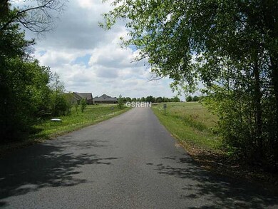 Photo.
