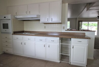 10406 N 101St Ave Sun City AZ 85351 (7)