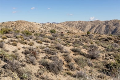 0 Magnolia Dr, Morongo Valley, CA 92256 - photo 4