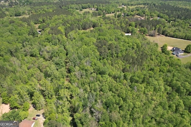 2310 Hollonville Rd, Williamson, GA 30292 - photo 2