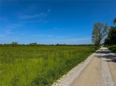 00 Pillsbury Rd, Monroe Township, MO 63389 - photo 2