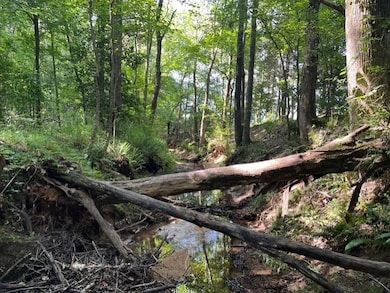 0 Ephesus Church Rd unit RTC2982194, Huntingdon, TN 38342 - photo 5