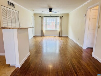 161 Hessian Hills Way unit 4, Charlottesville, VA 22901 - photo 4