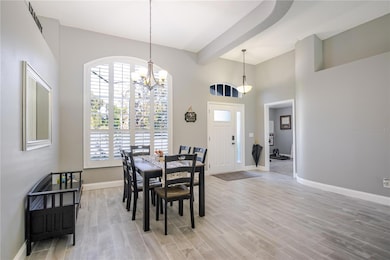 1001 English Bluffs Ct, Brandon, FL 33511 - photo 5