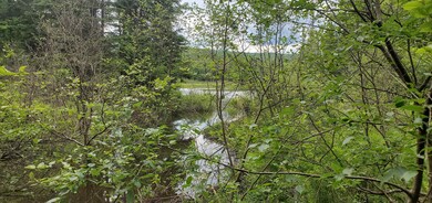 000 Bobbin Mill Rd, Lyman, NH 03585 - photo 4