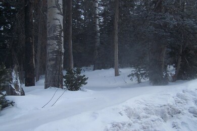 452 N 275 E unit CBME u-C lot 58, Brian Head, UT 84719 - photo 3