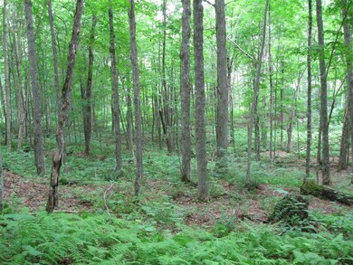 00 Crescent Beach Rd, Morgan, VT 05853 - photo 2