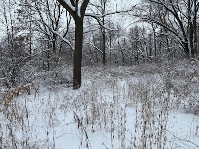 L7 Fawn Meadow Ln, Verona, WI 53593 - photo 5