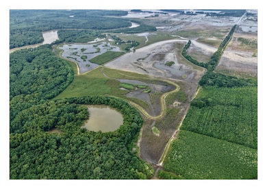 787 Lower Lockhart Rd, Cord, AR 72524 - photo 6