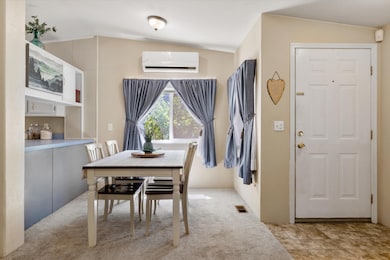 08-20250717 JILL ROSELL-2