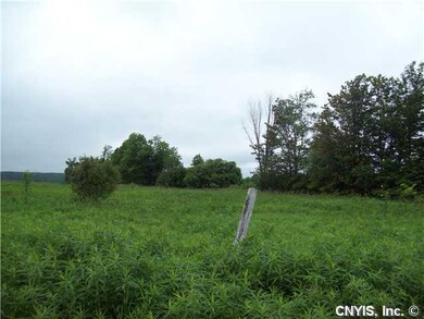 Land Peaceful view