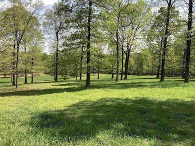 1904 Greene Road 516, Lafe, AR 72436 - photo 2