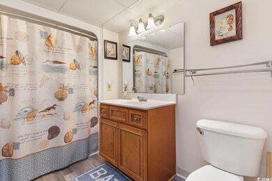 205 74th Ave N unit 710, Myrtle Beach, SC 29572 - photo 6