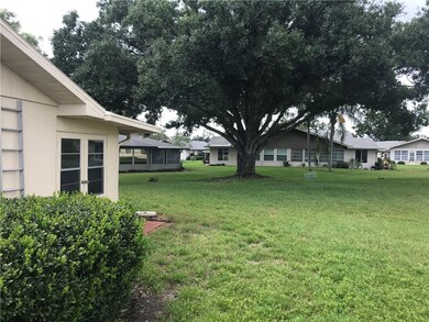 View of back and oak tree.