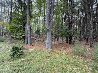 Photo Sep 19 2025, 9 07 17 AM