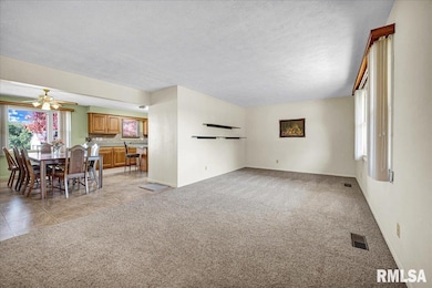 5929 N Heinz Ln, Edwards, IL 61528 - photo 7