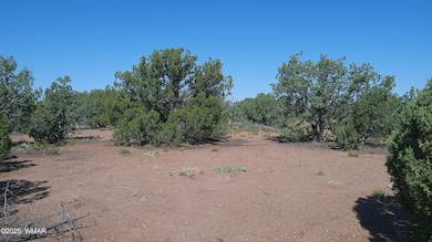 4434 Indian Bend Rd, Snowflake, AZ 85937 - photo 7
