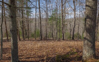 LT215 Old Toccoa Farm, Mineral Bluff, GA 30559 - photo 2