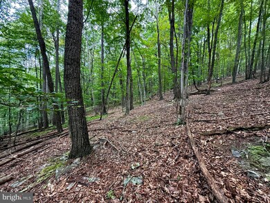 Lot 18B Wits End, Mathias, WV 26812 - photo 5