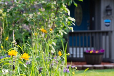 Exterior Front Garden 1593-SMALL