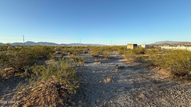 IMG_1353