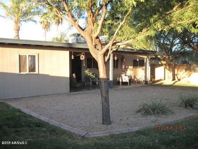 Backyard 1
