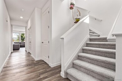 4183 Chasm Lake Dr, Loveland, CO 80538 - photo 4