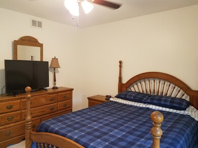 1025 Meghan Ave, Algonquin, IL 60102 - photo 5