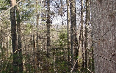 Additional View