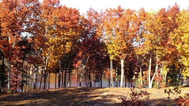 8 S Meadow Rd, Lancaster, MA 01523 - photo 3