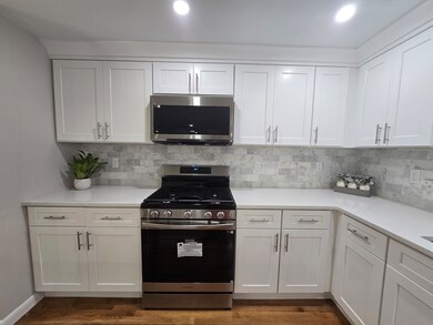 19 Druid Hill Ave E, Randolph, MA 02368 - photo 6