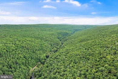 614 Graystones Jeras Rd Lot S-10, Albrightsville, PA 18210 - photo 5