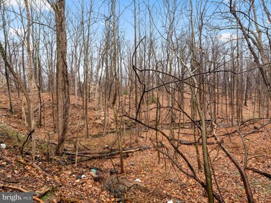 9726 Baltimore Ave, Laurel, MD 20723 - photo 5