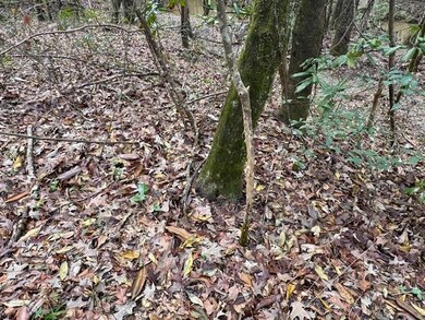 918a Auburn Dr SW, Bogue Chitto, MS 39629 - photo 6