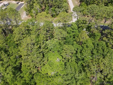 2710 W Century Blvd, Citrus Springs, FL 34434 - photo 4