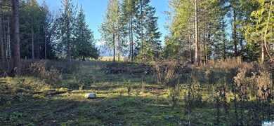 Lot 4 Lunderville Ln, Port Angeles, WA 98362 - photo 6